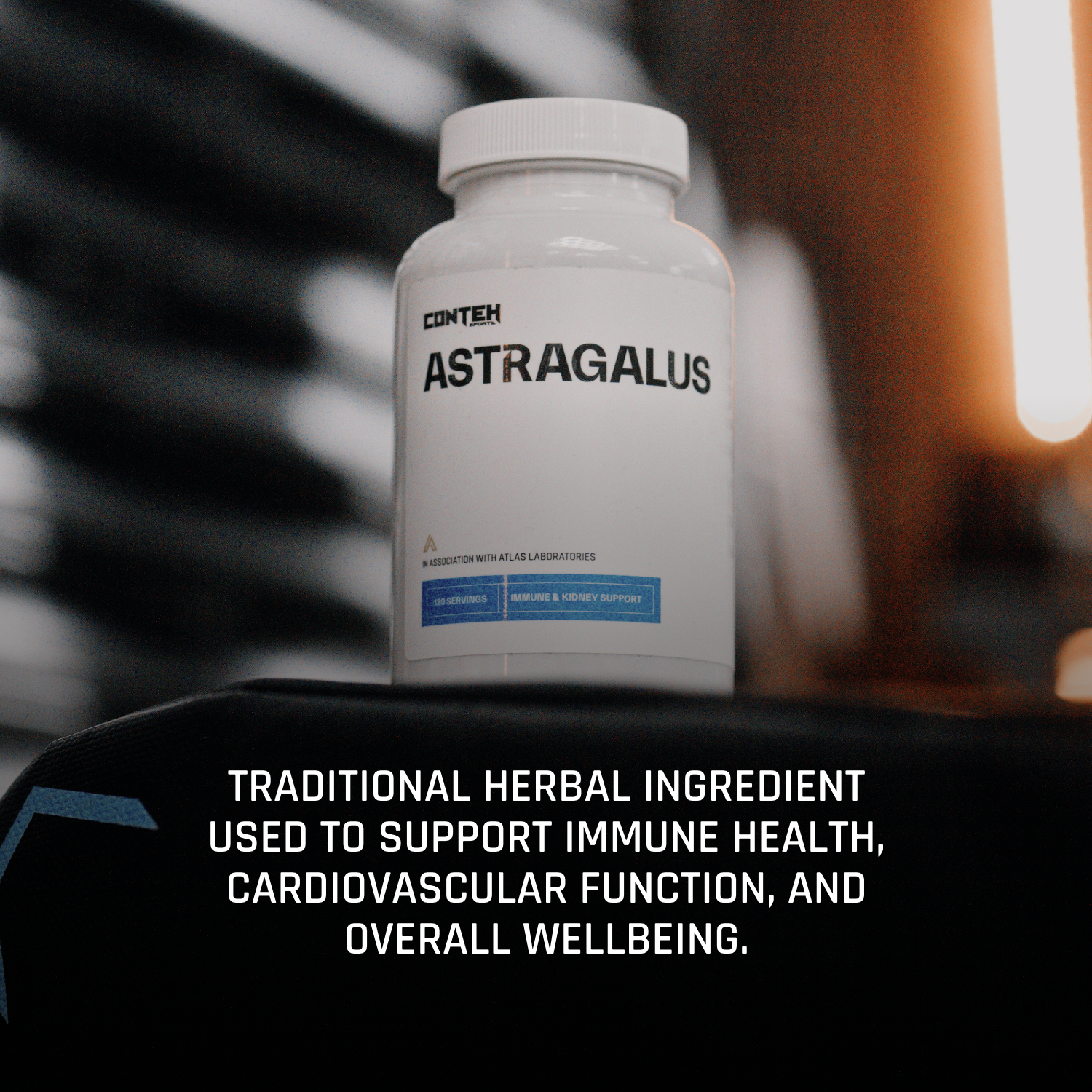 ASTRAGALUS_1.png