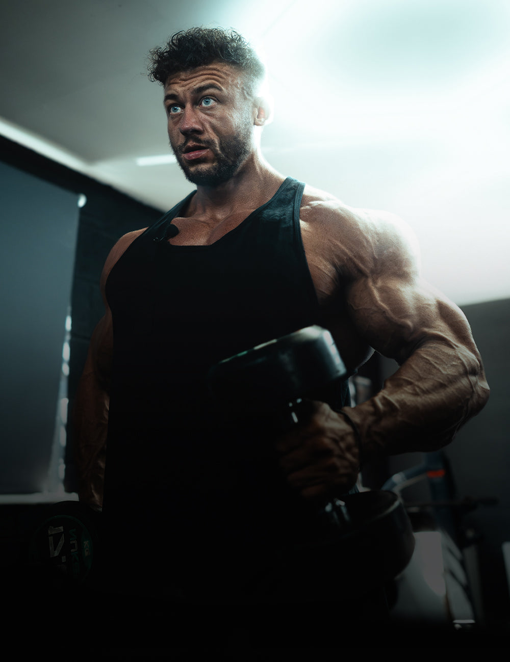 build-muscle-2.jpg